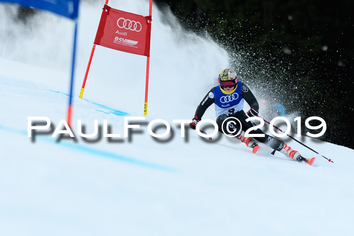 FIS Riesenslalom, ATA; Bay. Meisterschaft, Damen + Herren, 24.01.2020