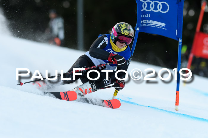 FIS Riesenslalom, ATA; Bay. Meisterschaft, Damen + Herren, 24.01.2020