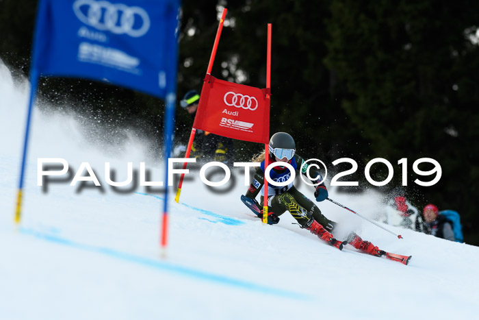 FIS Riesenslalom, ATA; Bay. Meisterschaft, Damen + Herren, 24.01.2020