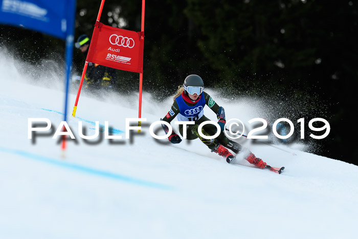 FIS Riesenslalom, ATA; Bay. Meisterschaft, Damen + Herren, 24.01.2020