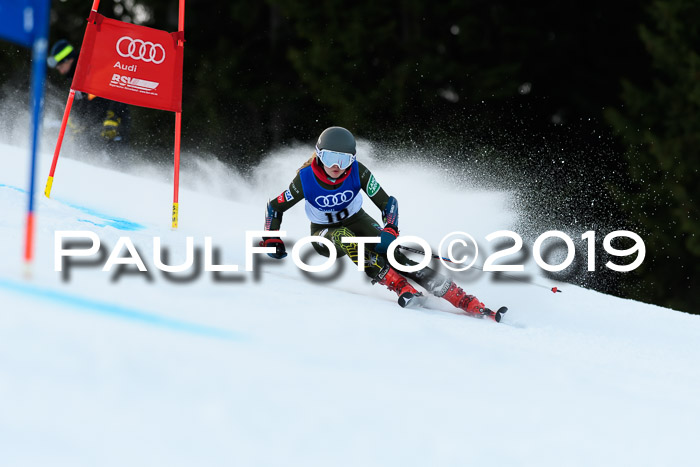 FIS Riesenslalom, ATA; Bay. Meisterschaft, Damen + Herren, 24.01.2020