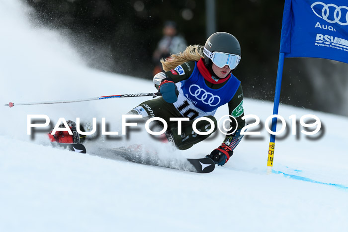 FIS Riesenslalom, ATA; Bay. Meisterschaft, Damen + Herren, 24.01.2020