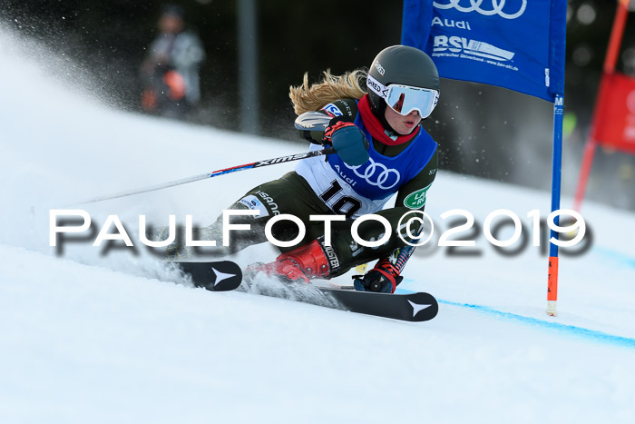 FIS Riesenslalom, ATA; Bay. Meisterschaft, Damen + Herren, 24.01.2020