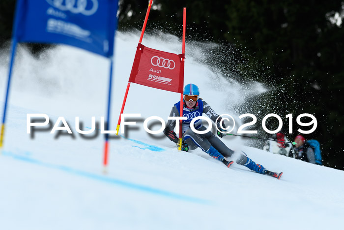 FIS Riesenslalom, ATA; Bay. Meisterschaft, Damen + Herren, 24.01.2020
