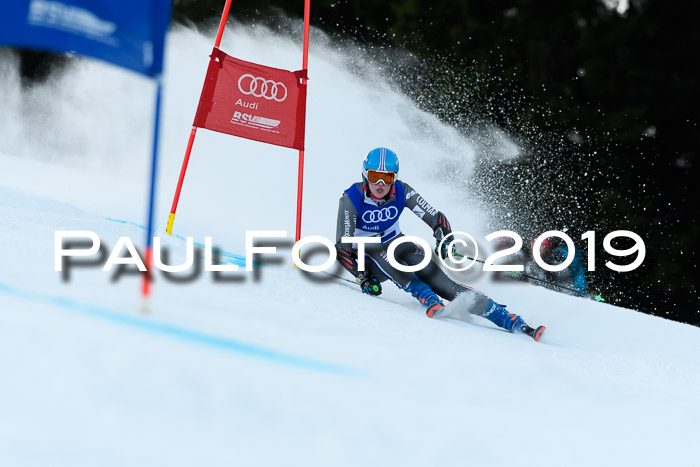 FIS Riesenslalom, ATA; Bay. Meisterschaft, Damen + Herren, 24.01.2020