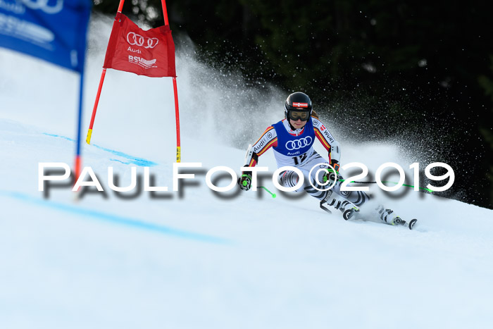 FIS Riesenslalom, ATA; Bay. Meisterschaft, Damen + Herren, 24.01.2020