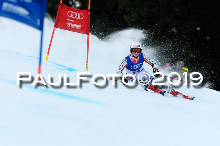 FIS Riesenslalom, ATA; Bay. Meisterschaft, Damen + Herren, 24.01.2020