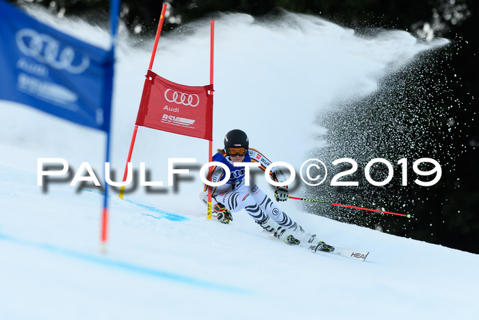 FIS Riesenslalom, ATA; Bay. Meisterschaft, Damen + Herren, 24.01.2020