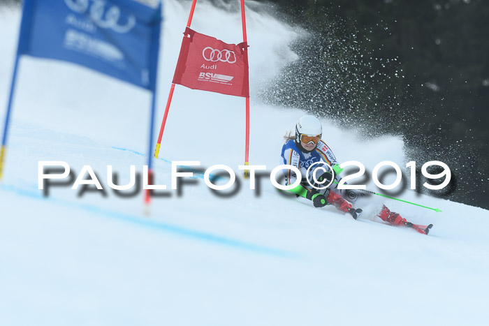 FIS Riesenslalom, ATA; Bay. Meisterschaft, Damen + Herren, 24.01.2020