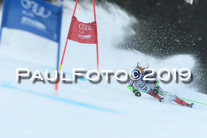 FIS Riesenslalom, ATA; Bay. Meisterschaft, Damen + Herren, 24.01.2020