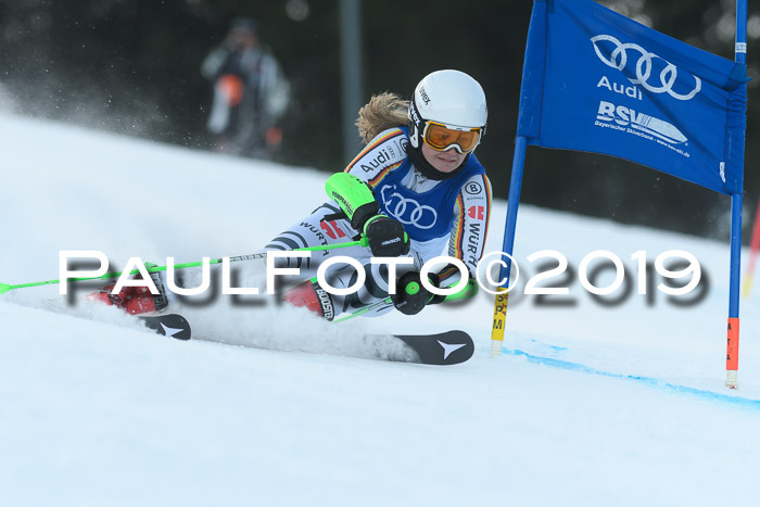 FIS Riesenslalom, ATA; Bay. Meisterschaft, Damen + Herren, 24.01.2020