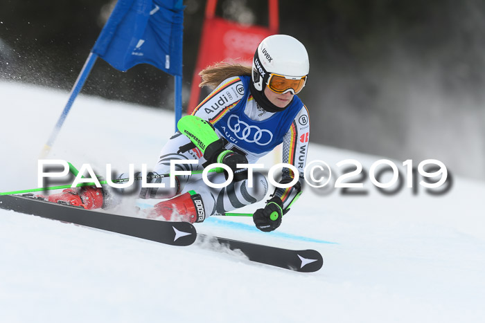 FIS Riesenslalom, ATA; Bay. Meisterschaft, Damen + Herren, 24.01.2020