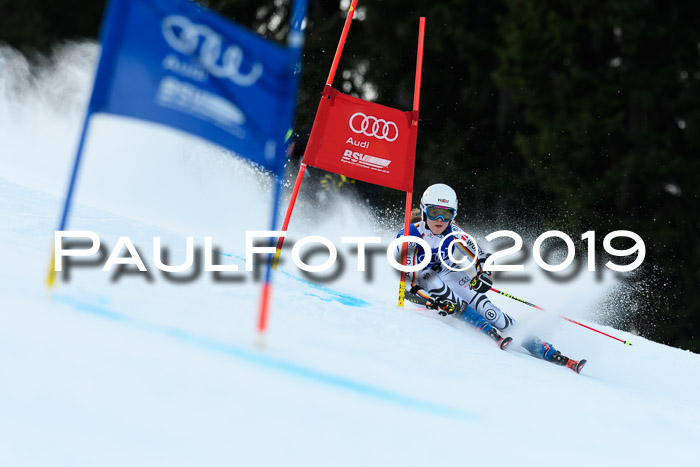 FIS Riesenslalom, ATA; Bay. Meisterschaft, Damen + Herren, 24.01.2020