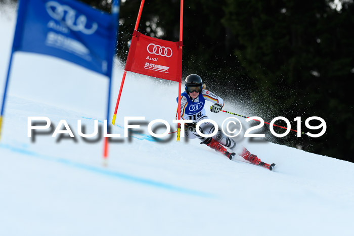FIS Riesenslalom, ATA; Bay. Meisterschaft, Damen + Herren, 24.01.2020