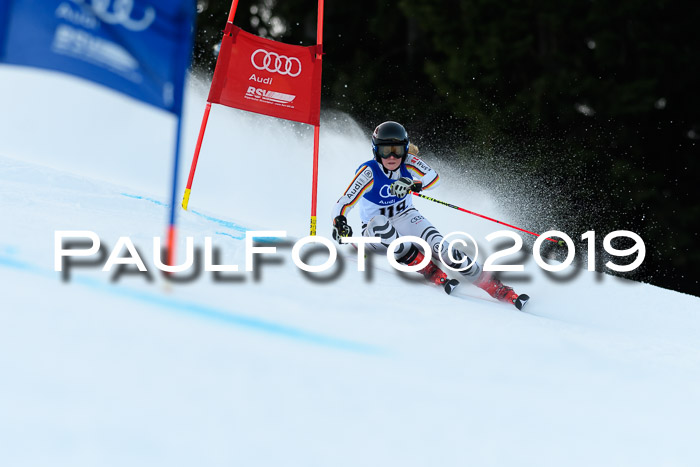 FIS Riesenslalom, ATA; Bay. Meisterschaft, Damen + Herren, 24.01.2020