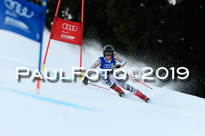 FIS Riesenslalom, ATA; Bay. Meisterschaft, Damen + Herren, 24.01.2020