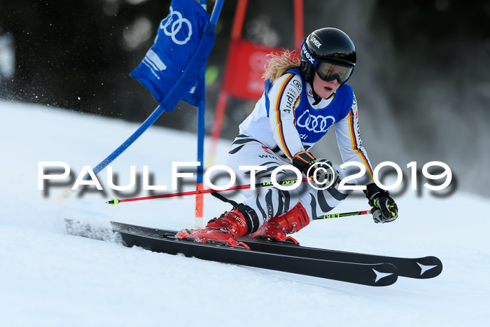 FIS Riesenslalom, ATA; Bay. Meisterschaft, Damen + Herren, 24.01.2020