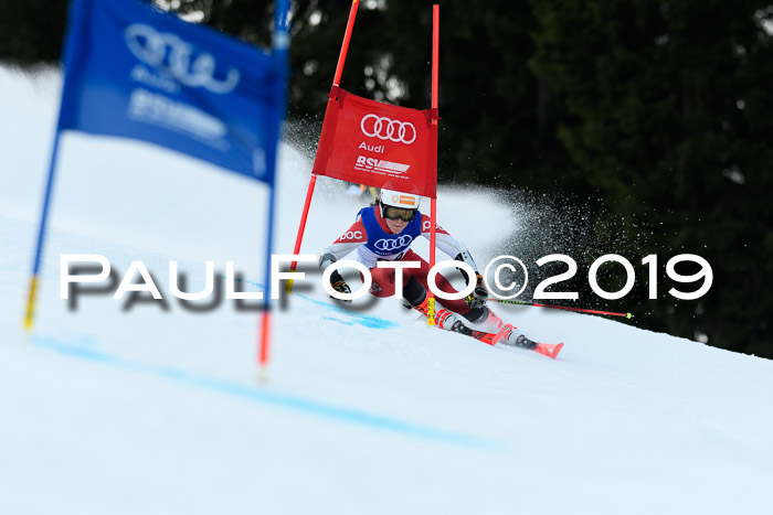 FIS Riesenslalom, ATA; Bay. Meisterschaft, Damen + Herren, 24.01.2020