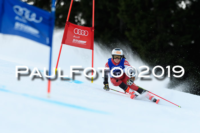 FIS Riesenslalom, ATA; Bay. Meisterschaft, Damen + Herren, 24.01.2020