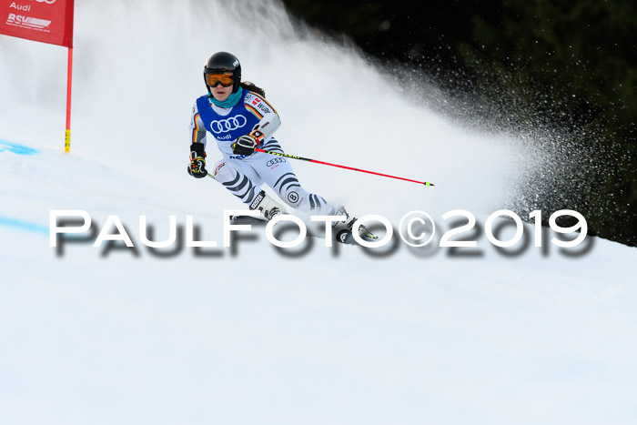 FIS Riesenslalom, ATA; Bay. Meisterschaft, Damen + Herren, 24.01.2020