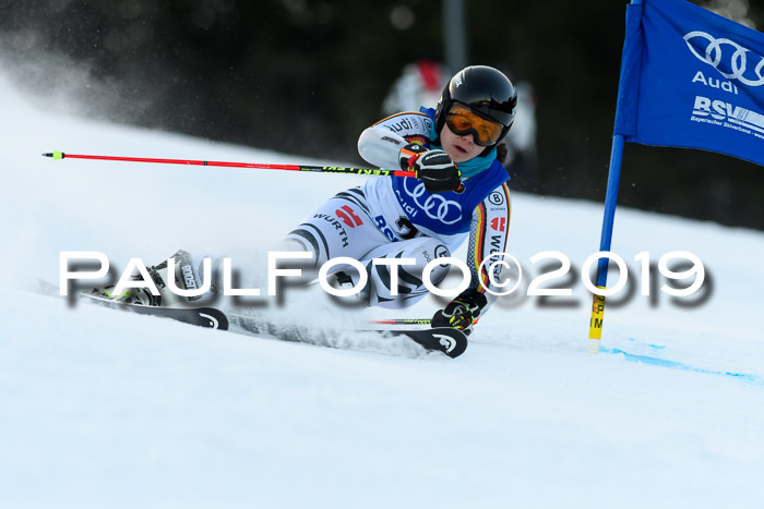 FIS Riesenslalom, ATA; Bay. Meisterschaft, Damen + Herren, 24.01.2020