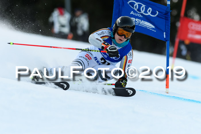 FIS Riesenslalom, ATA; Bay. Meisterschaft, Damen + Herren, 24.01.2020