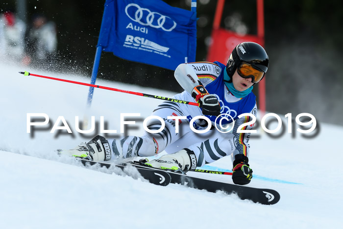 FIS Riesenslalom, ATA; Bay. Meisterschaft, Damen + Herren, 24.01.2020