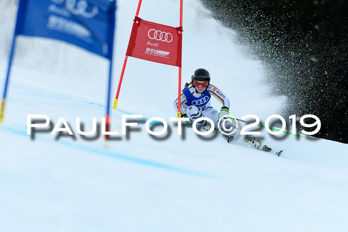 FIS Riesenslalom, ATA; Bay. Meisterschaft, Damen + Herren, 24.01.2020