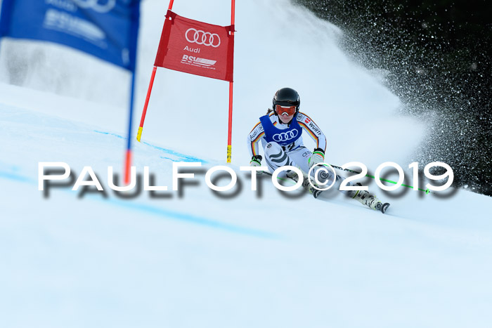 FIS Riesenslalom, ATA; Bay. Meisterschaft, Damen + Herren, 24.01.2020