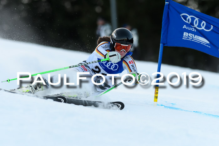 FIS Riesenslalom, ATA; Bay. Meisterschaft, Damen + Herren, 24.01.2020