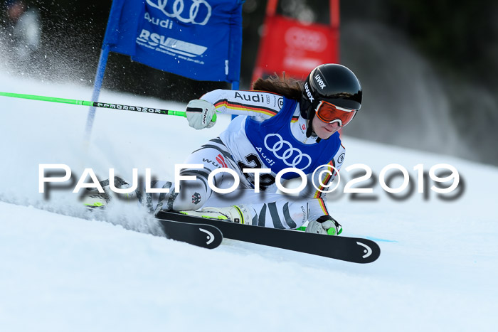 FIS Riesenslalom, ATA; Bay. Meisterschaft, Damen + Herren, 24.01.2020