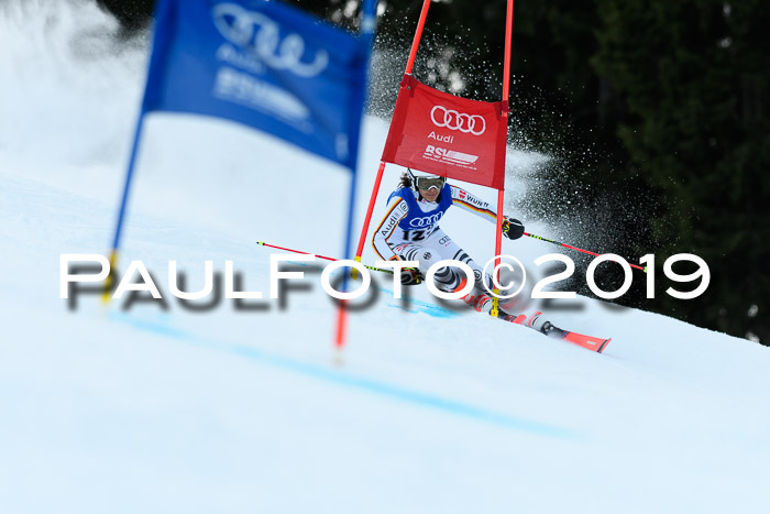 FIS Riesenslalom, ATA; Bay. Meisterschaft, Damen + Herren, 24.01.2020