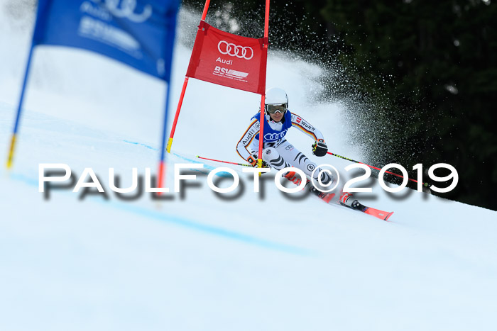 FIS Riesenslalom, ATA; Bay. Meisterschaft, Damen + Herren, 24.01.2020