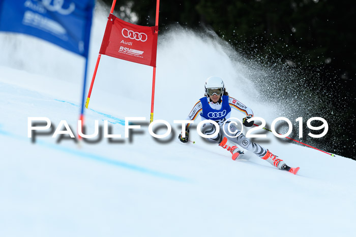 FIS Riesenslalom, ATA; Bay. Meisterschaft, Damen + Herren, 24.01.2020