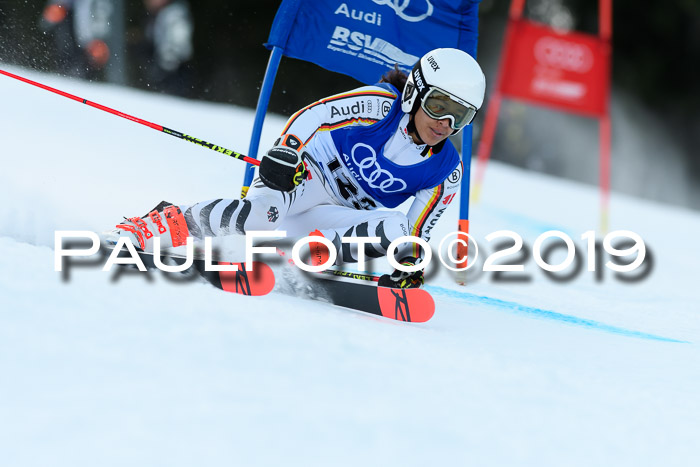FIS Riesenslalom, ATA; Bay. Meisterschaft, Damen + Herren, 24.01.2020