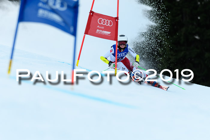 FIS Riesenslalom, ATA; Bay. Meisterschaft, Damen + Herren, 24.01.2020