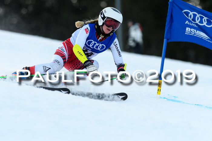 FIS Riesenslalom, ATA; Bay. Meisterschaft, Damen + Herren, 24.01.2020