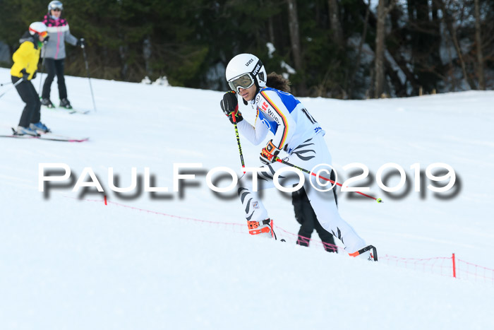 FIS Riesenslalom, ATA; Bay. Meisterschaft, Damen + Herren, 24.01.2020