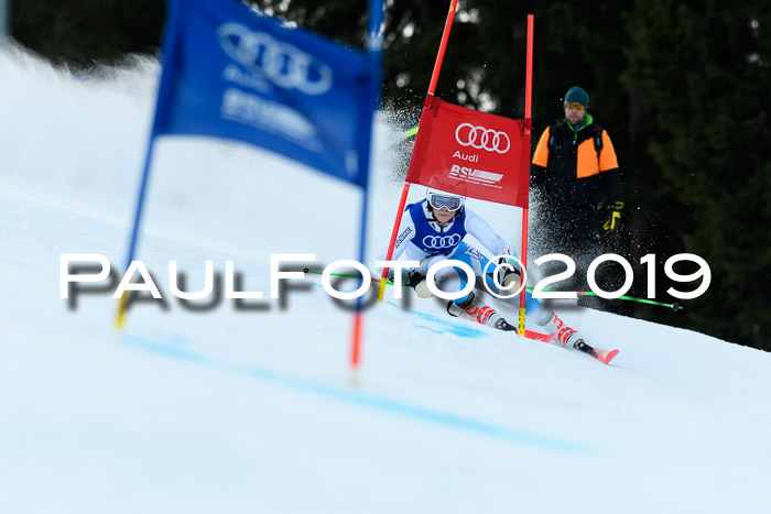 FIS Riesenslalom, ATA; Bay. Meisterschaft, Damen + Herren, 24.01.2020