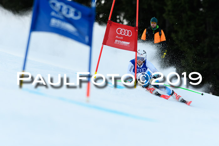 FIS Riesenslalom, ATA; Bay. Meisterschaft, Damen + Herren, 24.01.2020