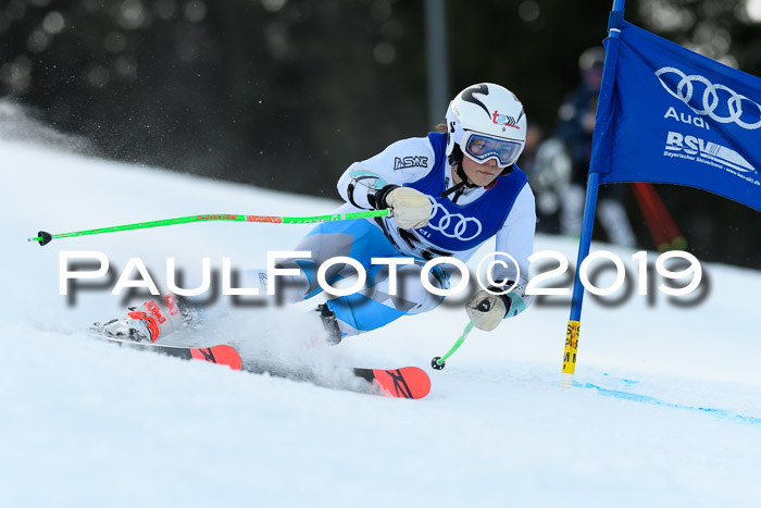 FIS Riesenslalom, ATA; Bay. Meisterschaft, Damen + Herren, 24.01.2020