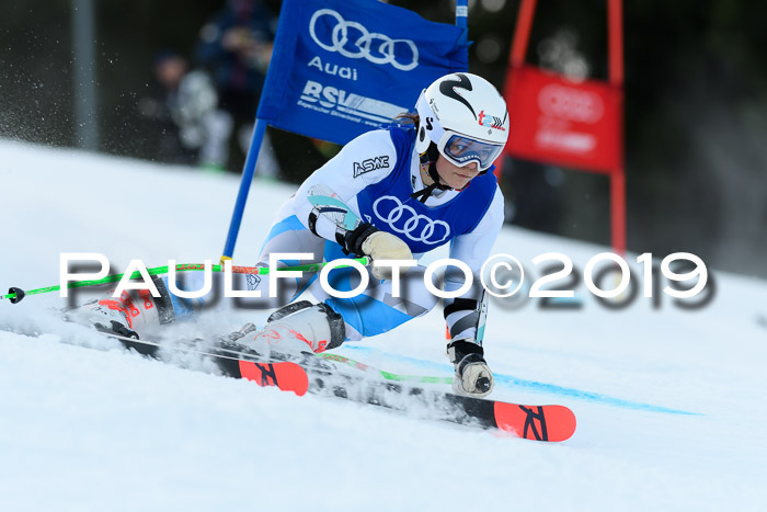 FIS Riesenslalom, ATA; Bay. Meisterschaft, Damen + Herren, 24.01.2020