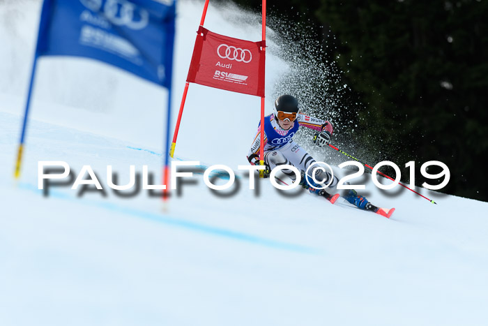 FIS Riesenslalom, ATA; Bay. Meisterschaft, Damen + Herren, 24.01.2020