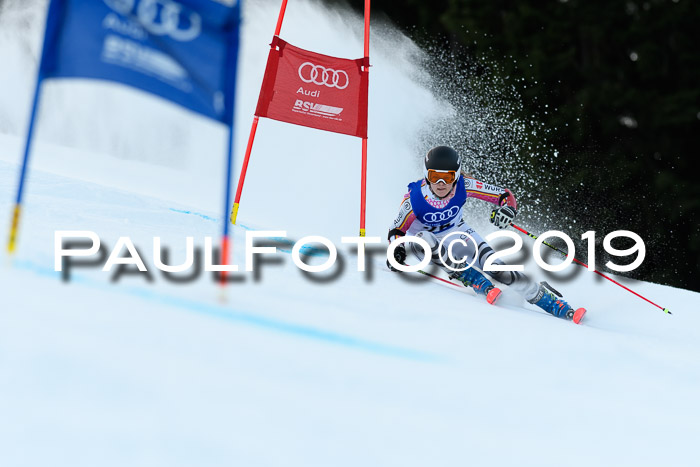 FIS Riesenslalom, ATA; Bay. Meisterschaft, Damen + Herren, 24.01.2020