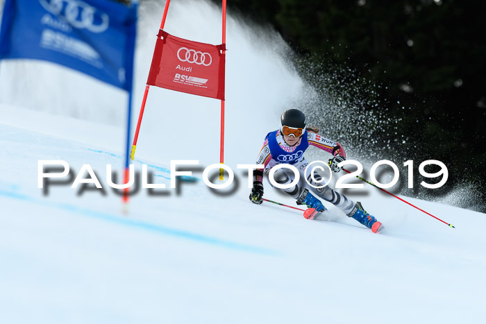 FIS Riesenslalom, ATA; Bay. Meisterschaft, Damen + Herren, 24.01.2020