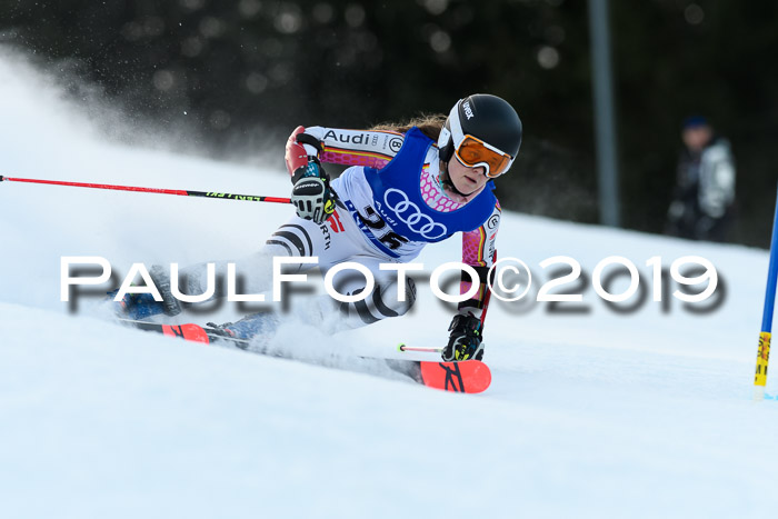 FIS Riesenslalom, ATA; Bay. Meisterschaft, Damen + Herren, 24.01.2020