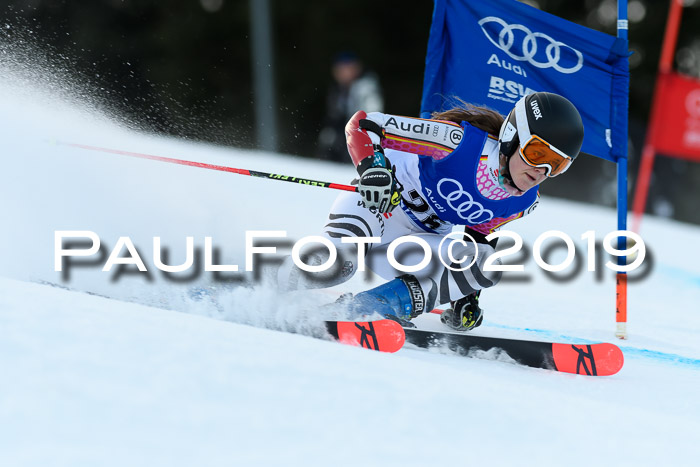 FIS Riesenslalom, ATA; Bay. Meisterschaft, Damen + Herren, 24.01.2020