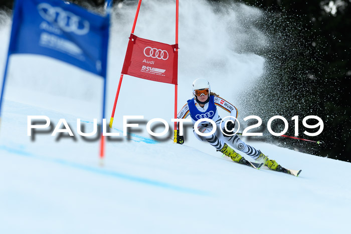 FIS Riesenslalom, ATA; Bay. Meisterschaft, Damen + Herren, 24.01.2020