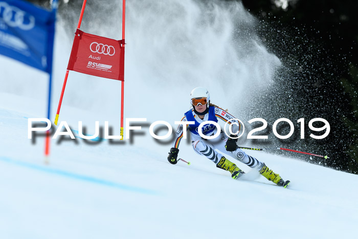 FIS Riesenslalom, ATA; Bay. Meisterschaft, Damen + Herren, 24.01.2020
