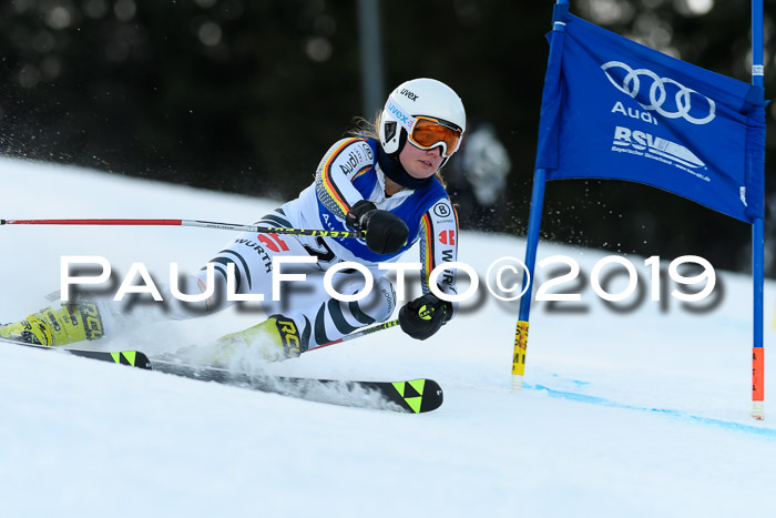 FIS Riesenslalom, ATA; Bay. Meisterschaft, Damen + Herren, 24.01.2020